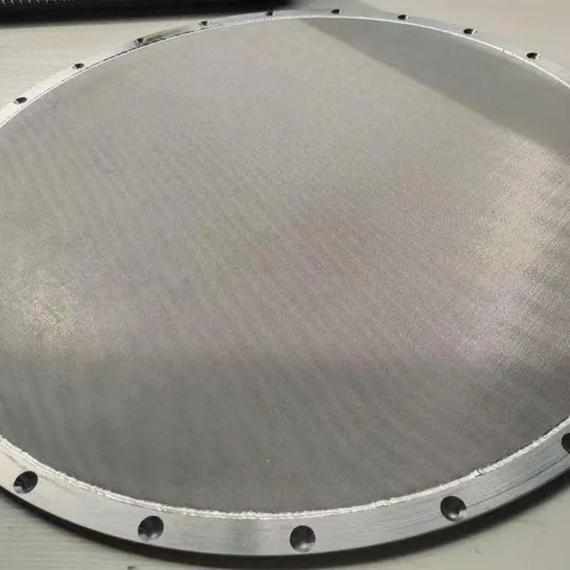 Фильтровальный диск из спеченной металлической сетки (6)